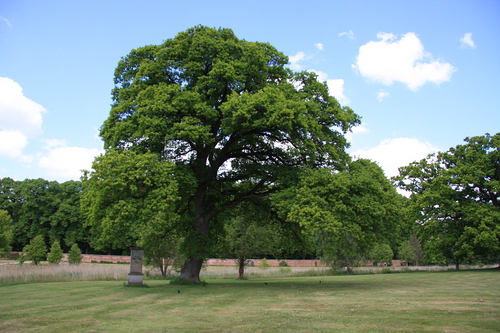 Mindestøtterne